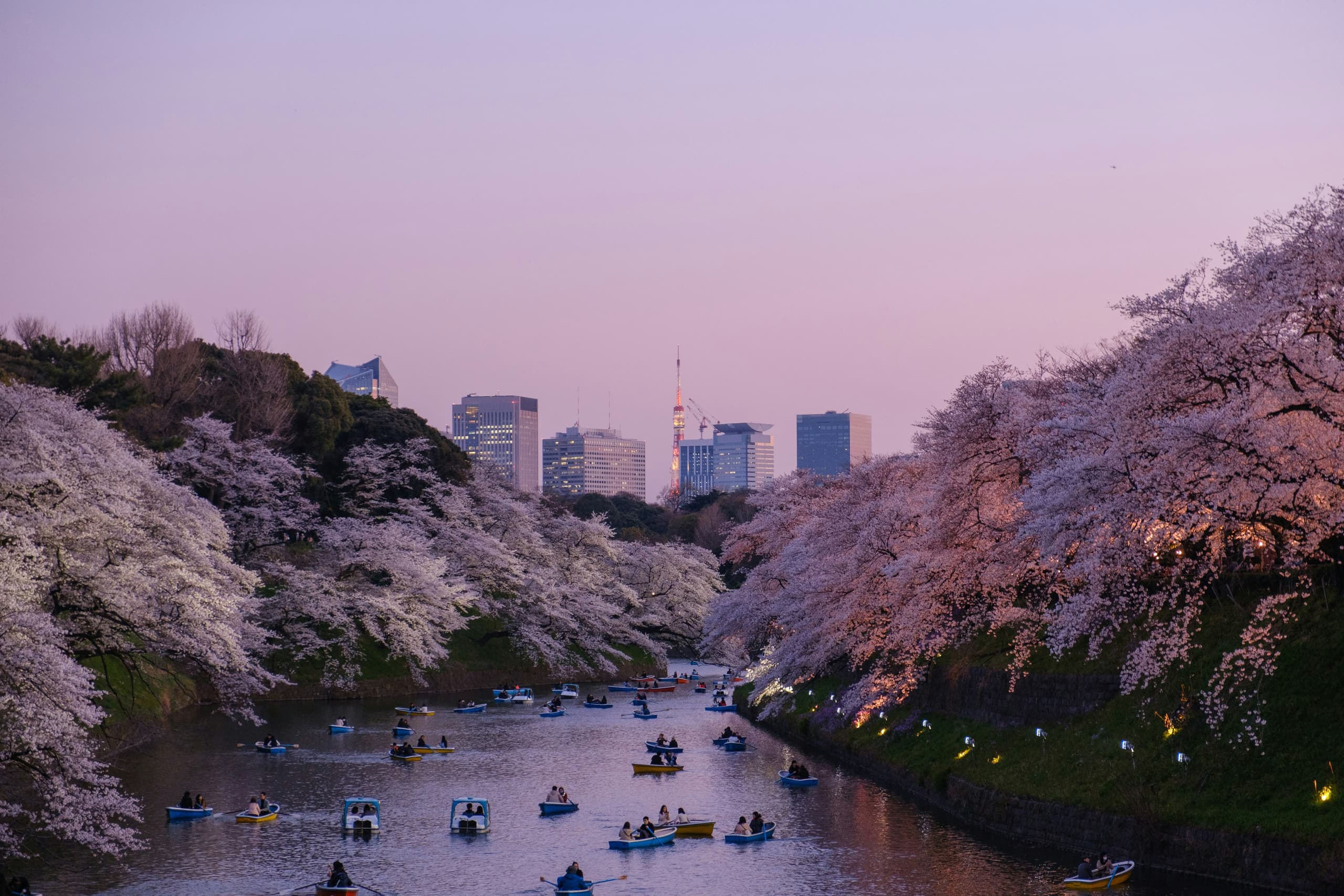 Japan — photo 2