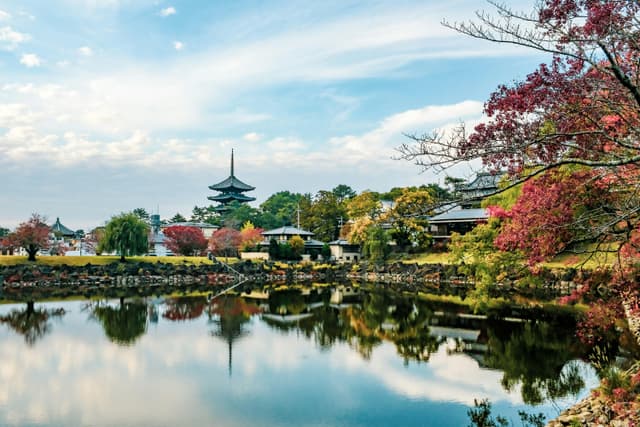 Todai-ji Temple & Great Buddha