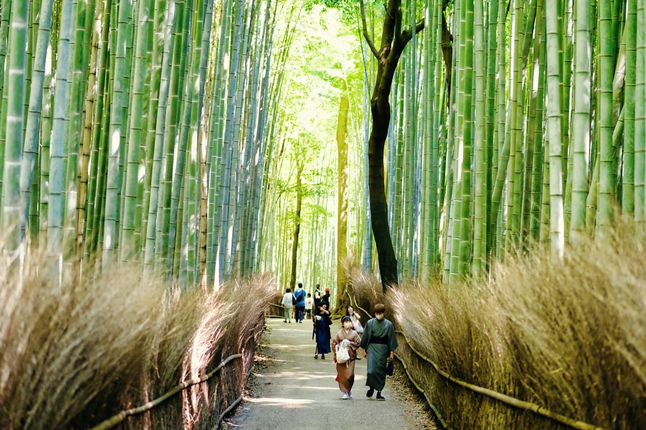 Exploring Arashiyama Bamboo Forest