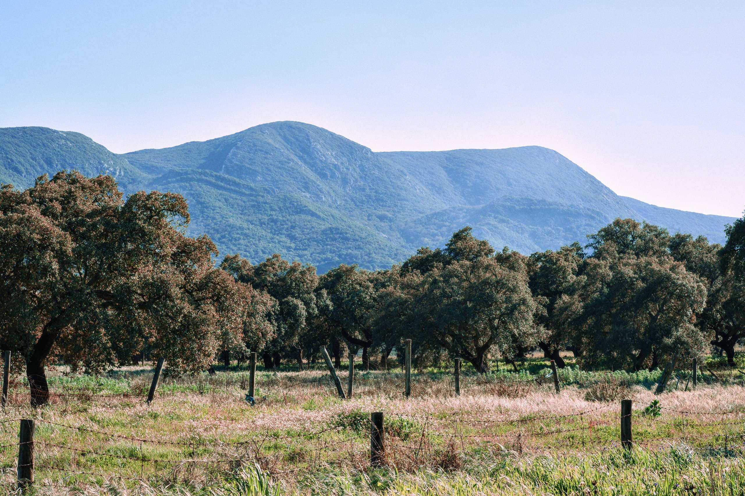 Arrábida Natural Park